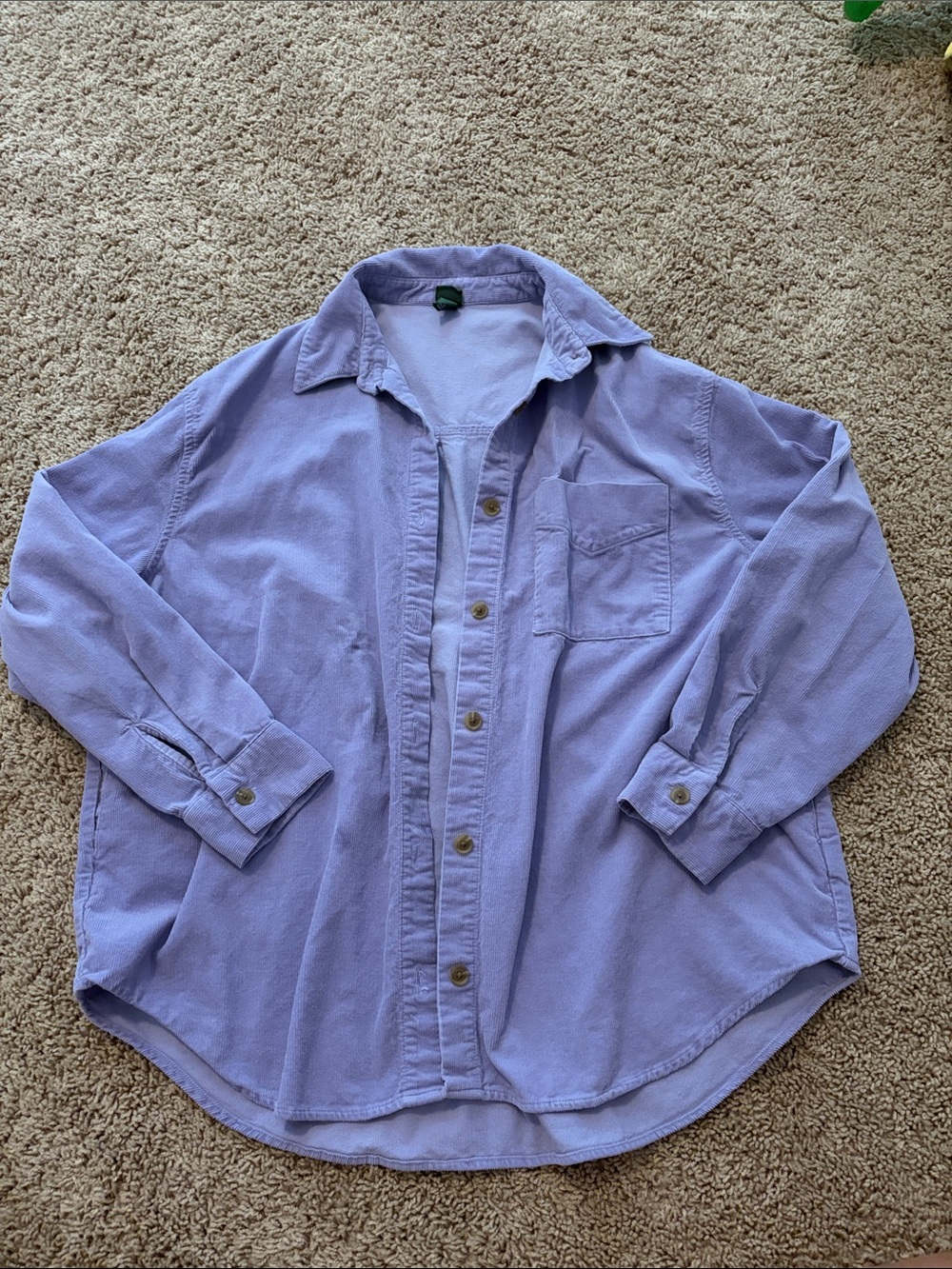 wild fable Lavender Button-Down Shirt for Men